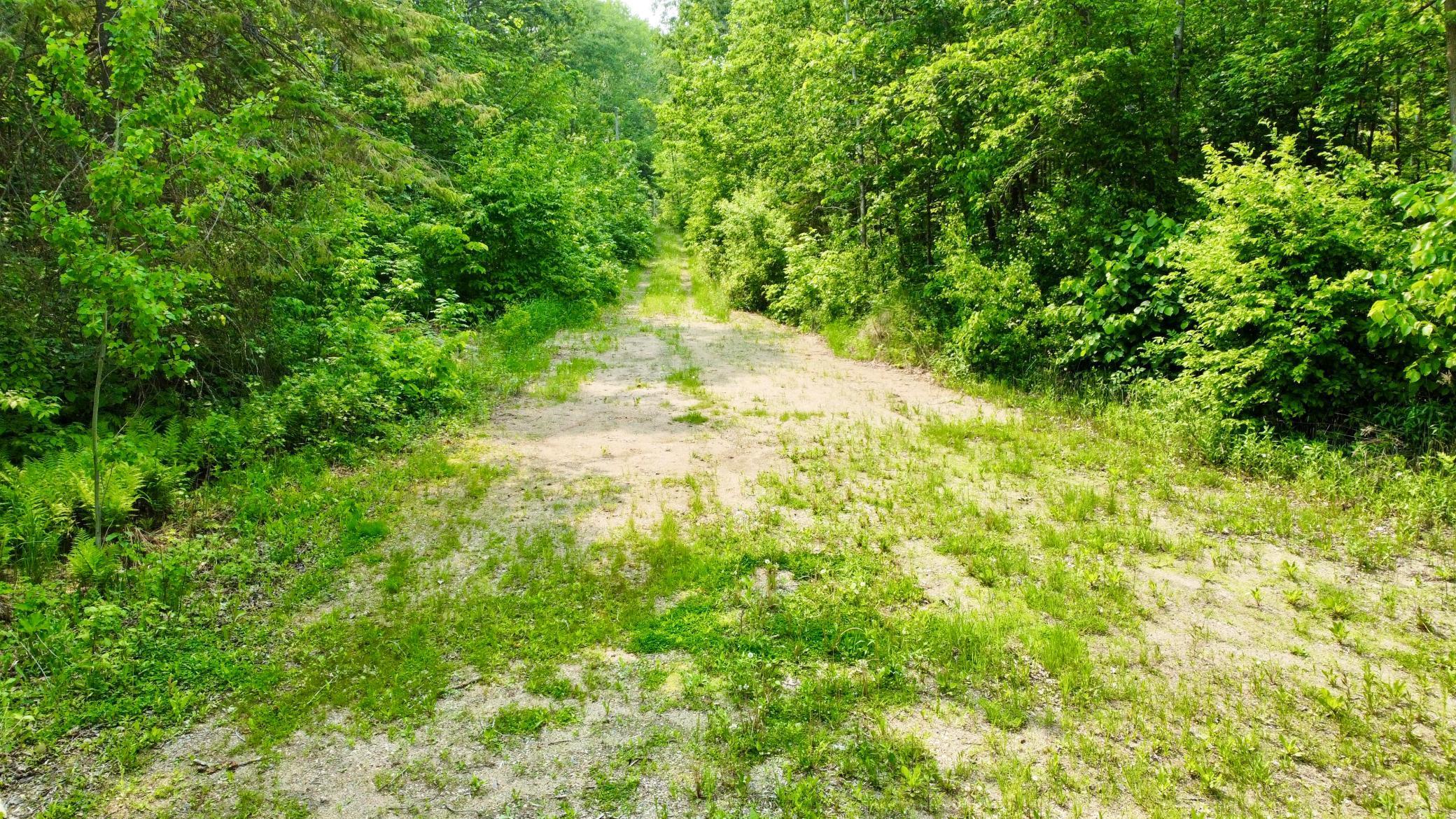 37551 County Road 126 Rochert, MN 56578 - Photo 10 of 10