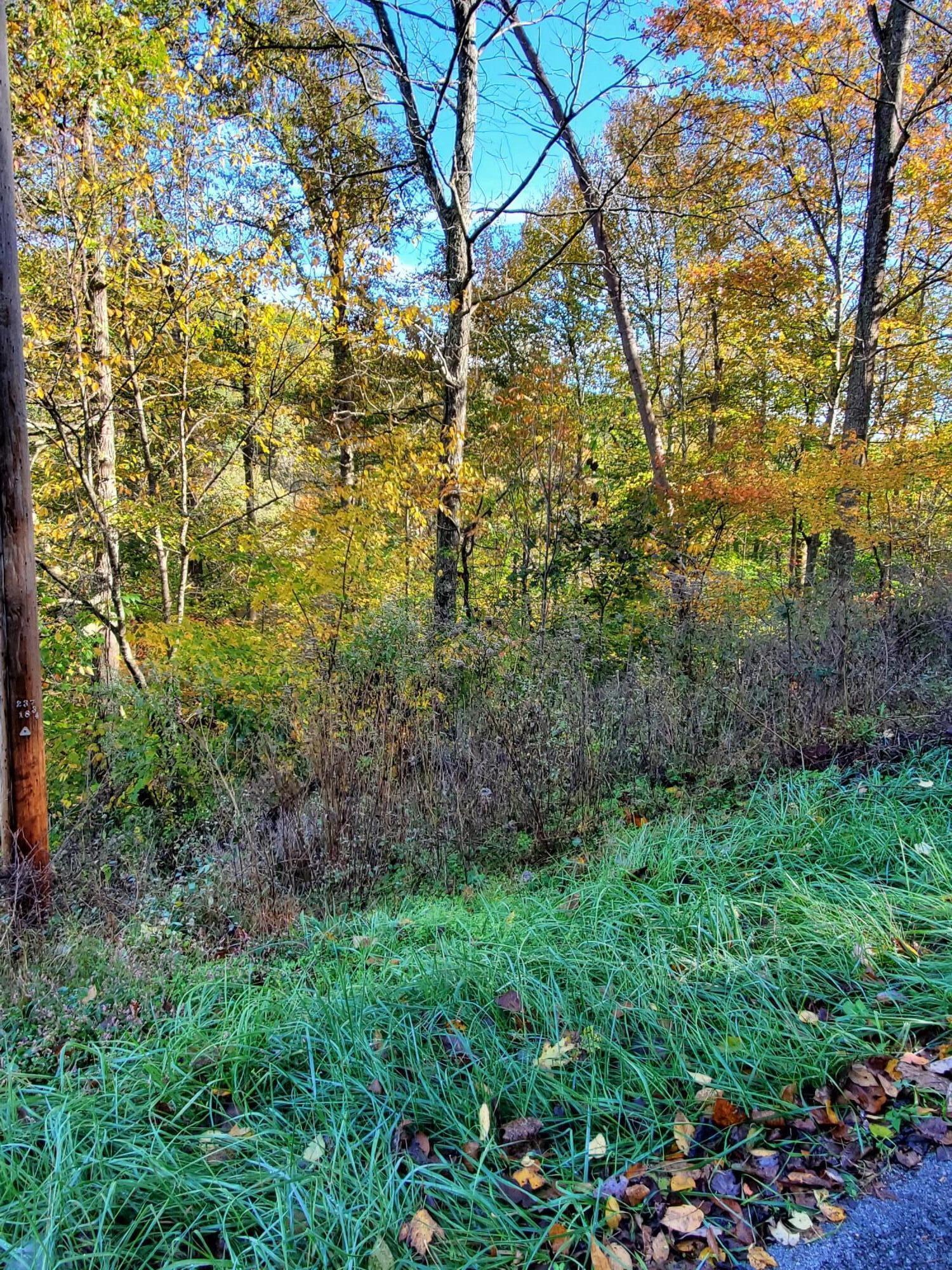9999 Fisherman Cove Road London, KY 40741 - Photo 1 of 4 20211027_104135