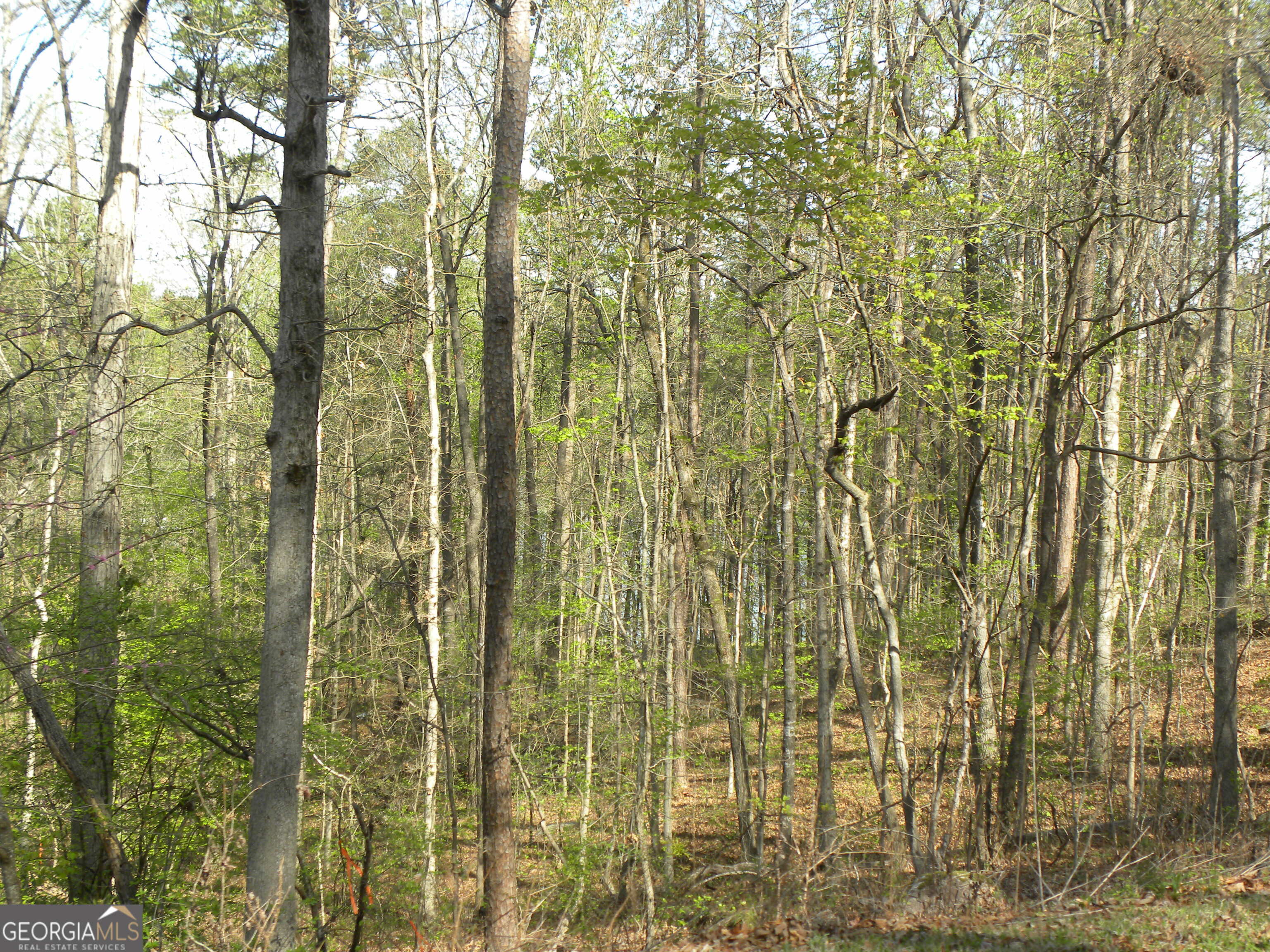 1323 Seven Forks Road Martin, GA 30557 - Photo 13 of 24