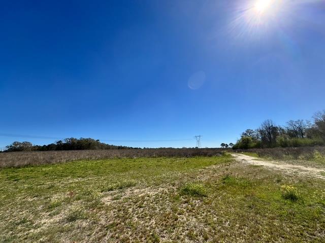 0 Macedonia Ch Road Columbia, AL 36319 - Photo 25 of 61