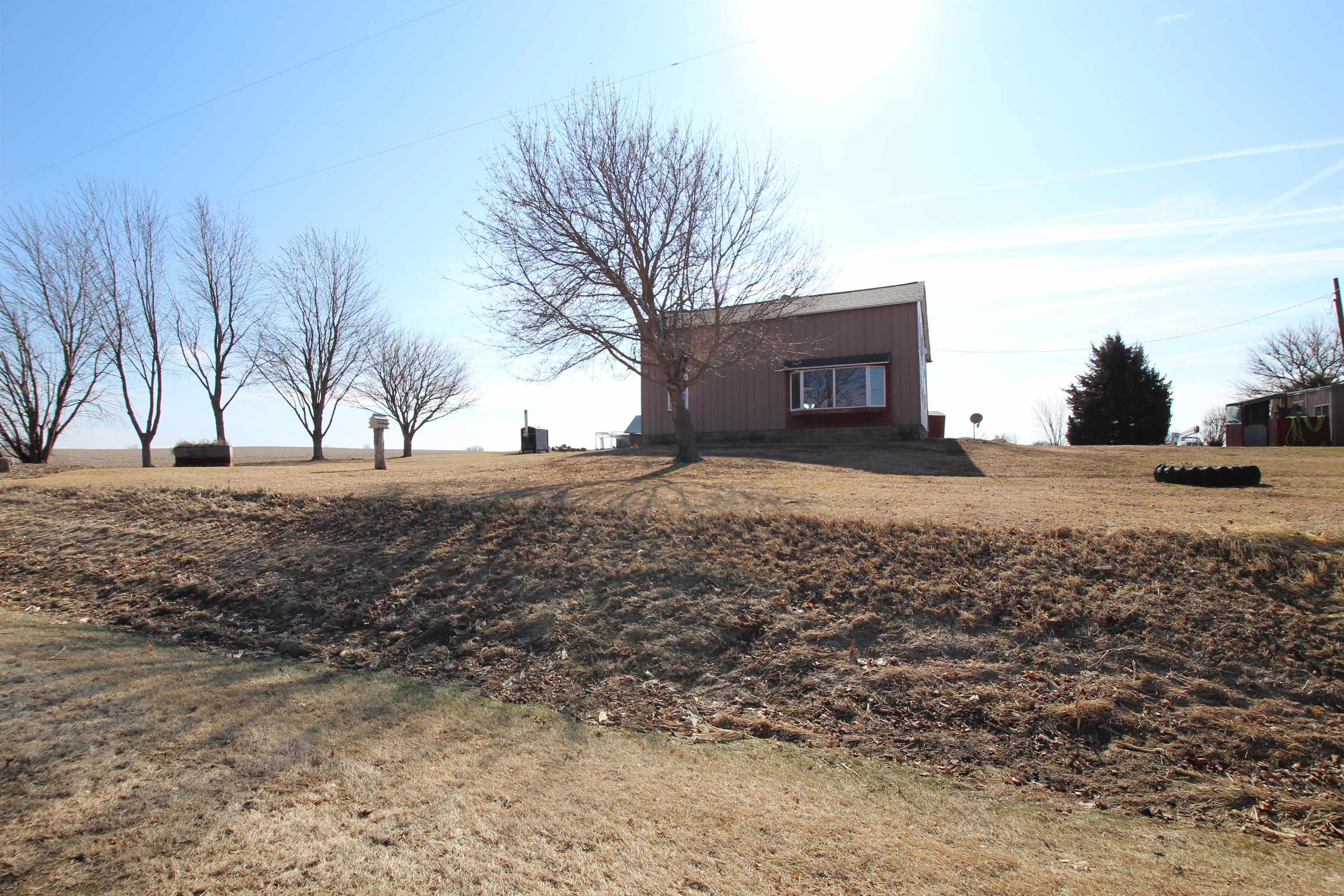 15210 Murphy Road Winnebago, IL 61088 - Photo 2 of 22 a view of dirt yard with large trees