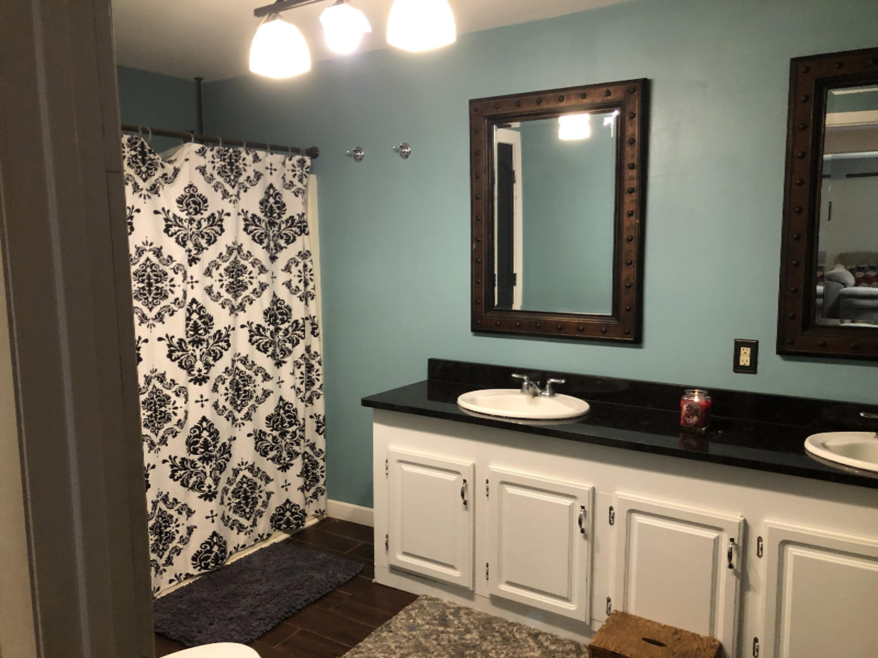 30240 Spring Creek Road Colon, MI 49040 - Photo 12 of 26 IMG_7265