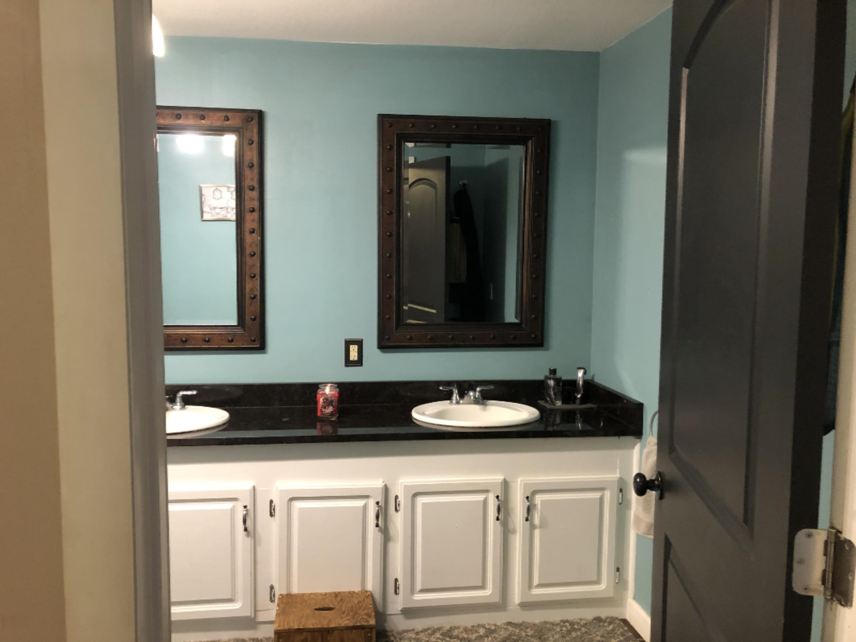 30240 Spring Creek Road Colon, MI 49040 - Photo 13 of 26 IMG_7266