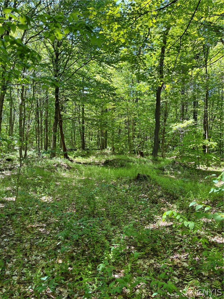 191 Tucker Road Boylston, NY 13083 - Photo 21 of 23