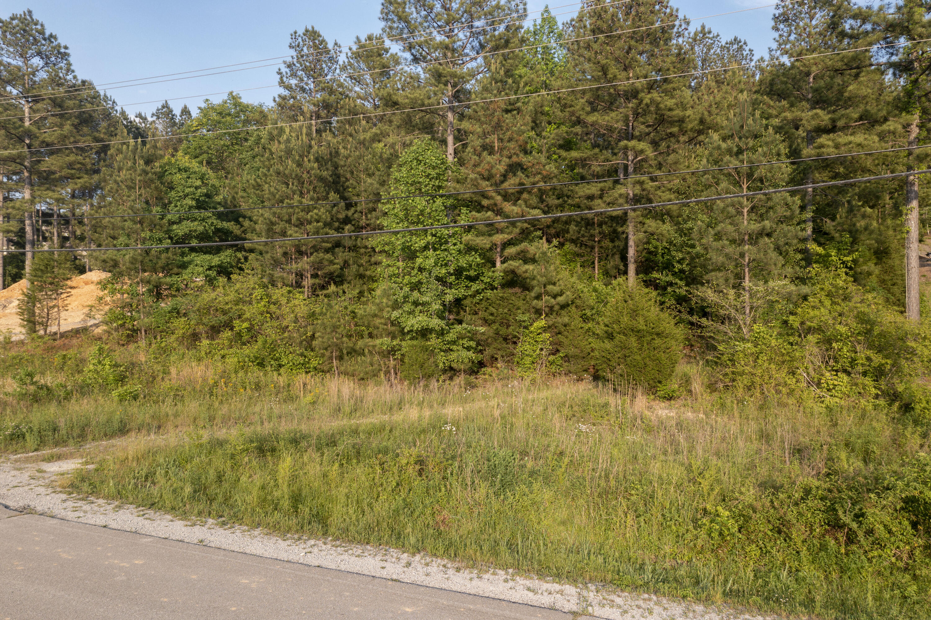 Lot 2 Blythes Ferry Road Dayton, TN 37321 - Photo 9 of 10 DJI_0632