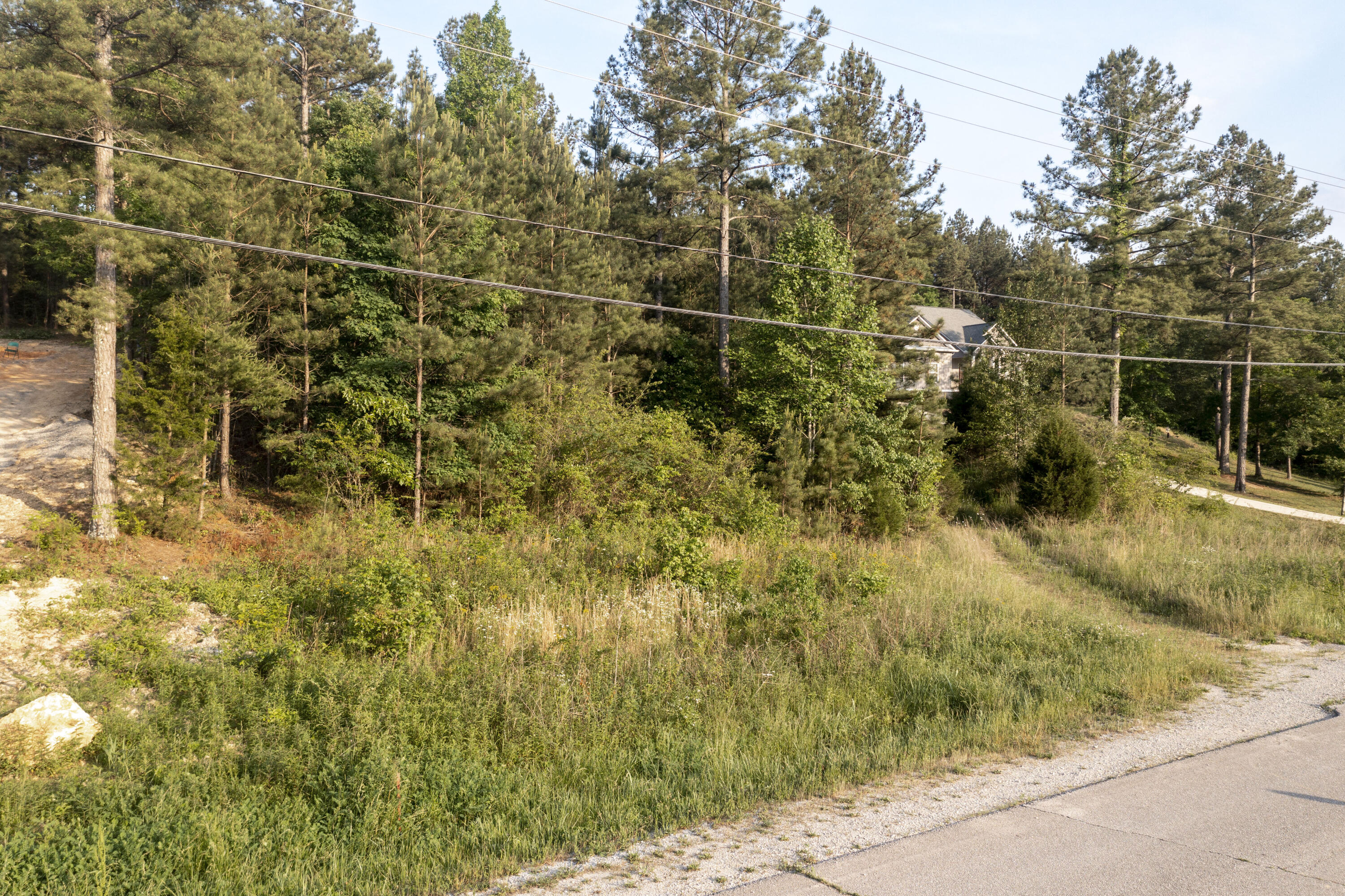 Lot 2 Blythes Ferry Road Dayton, TN 37321 - Photo 10 of 10 DJI_0635