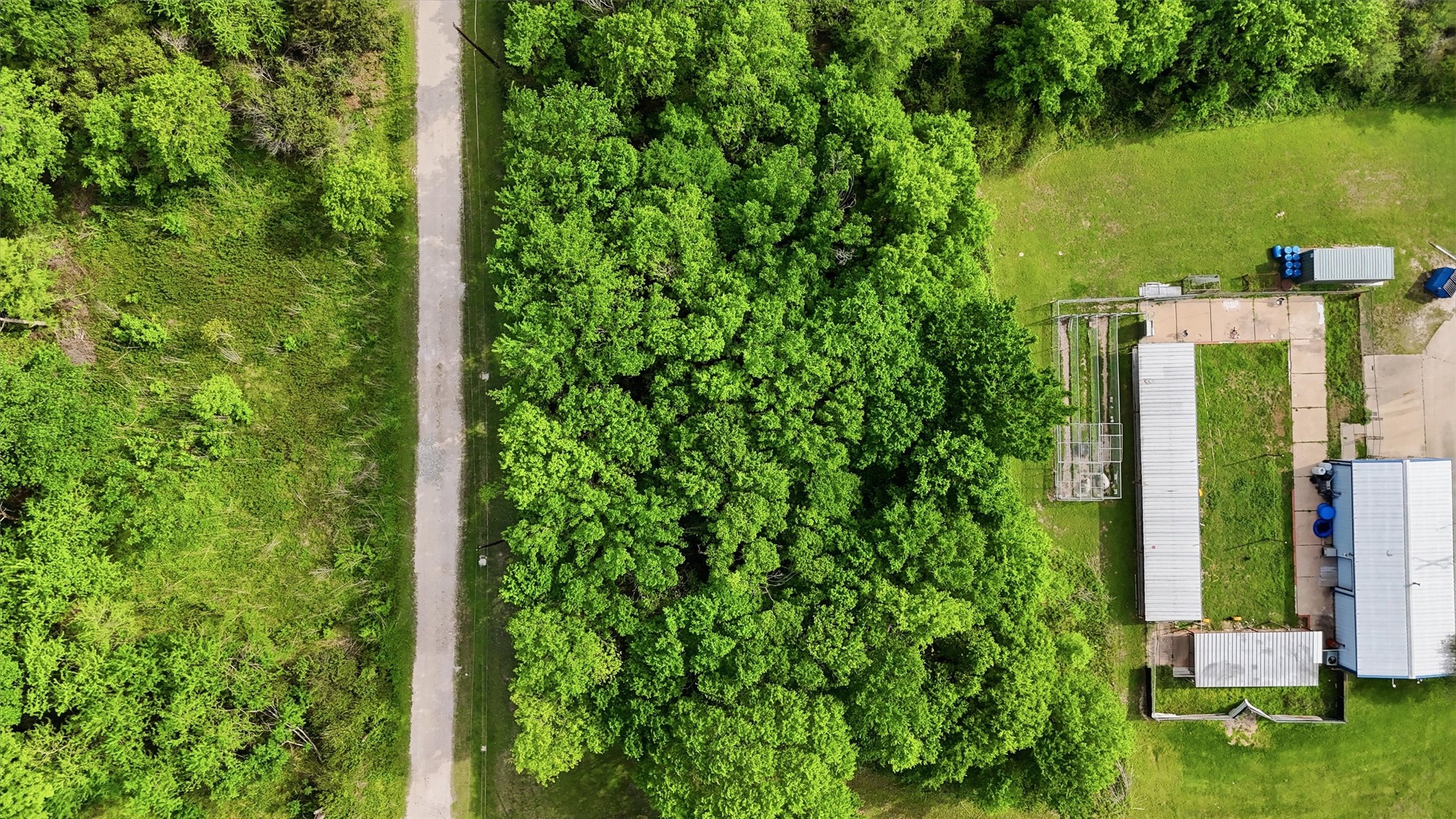 515 Off Spur Navasota, TX 77868 - Photo 8 of 13 a view of a garden with a tree