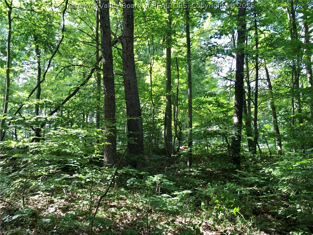 3001 Spicewood Road Kenna, WV 25248 - Photo 15 of 44 Gallery Image 15