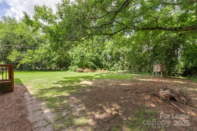 a view of a field with trees