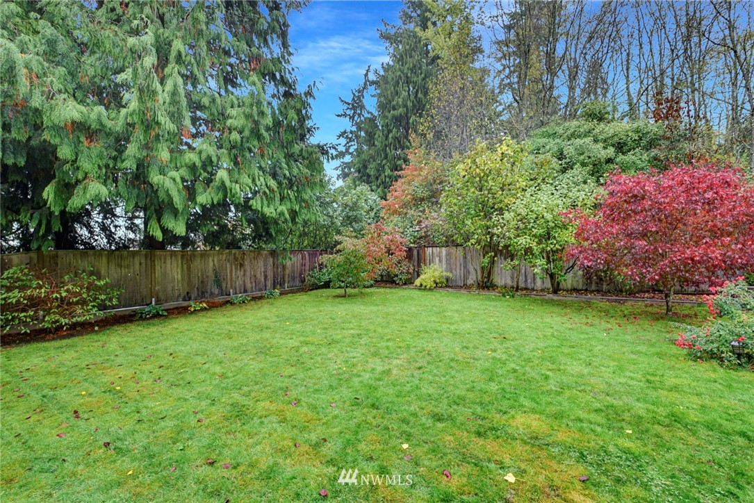 527 240th Street Southwest Bothell, WA 98021 - Photo 29 of 32 a view of a backyard with potted plants and large trees