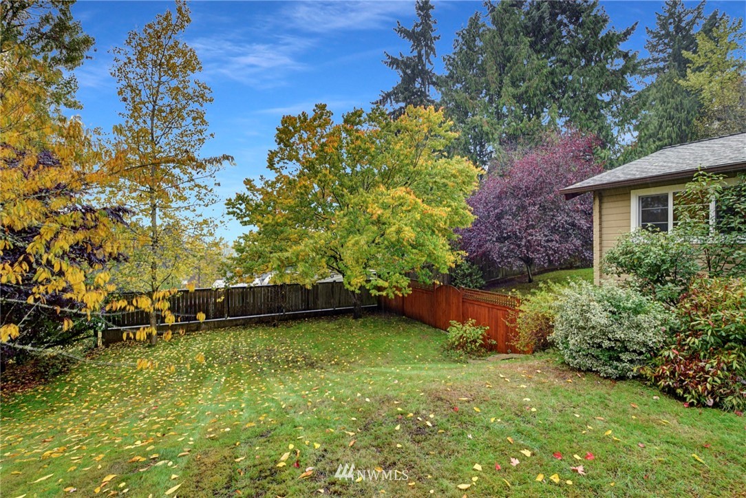 527 240th Street Southwest Bothell, WA 98021 - Photo 31 of 32 a view of a backyard with plants and large trees