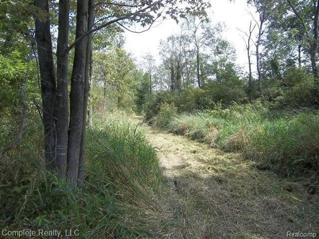 12160 North Genesee Road Clio, MI 48420 - Photo 6 of 7 Swamp.JPG