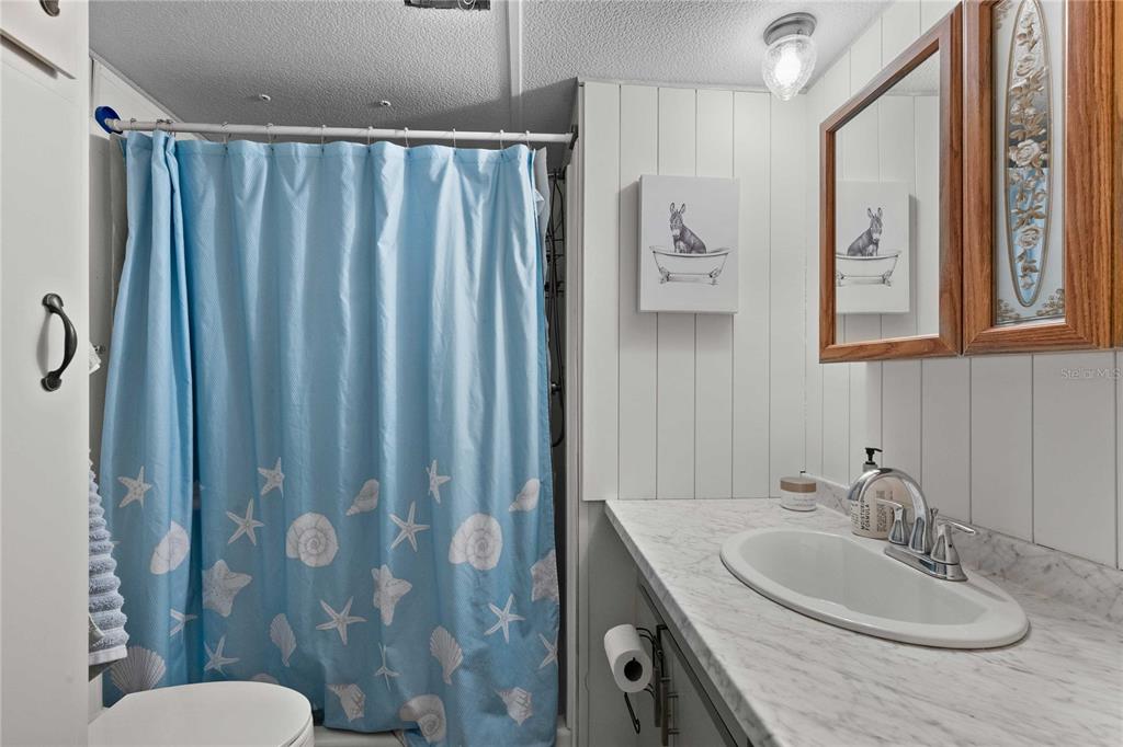 37332 Sandra Avenue Zephyrhills, FL 33542 - Photo 17 of 59 Gallery Image 17