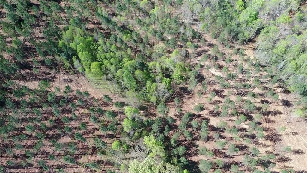 0 Dibrell Road Pelham, NC 27311 - Photo 9 of 9
