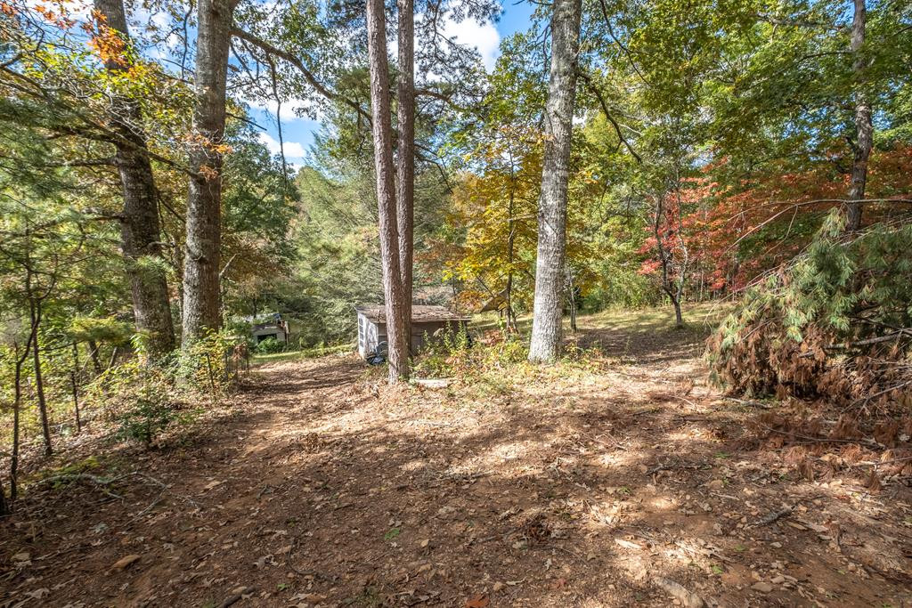 171 Caney Creek Road Murphy, NC 28906 - Photo 43 of 60