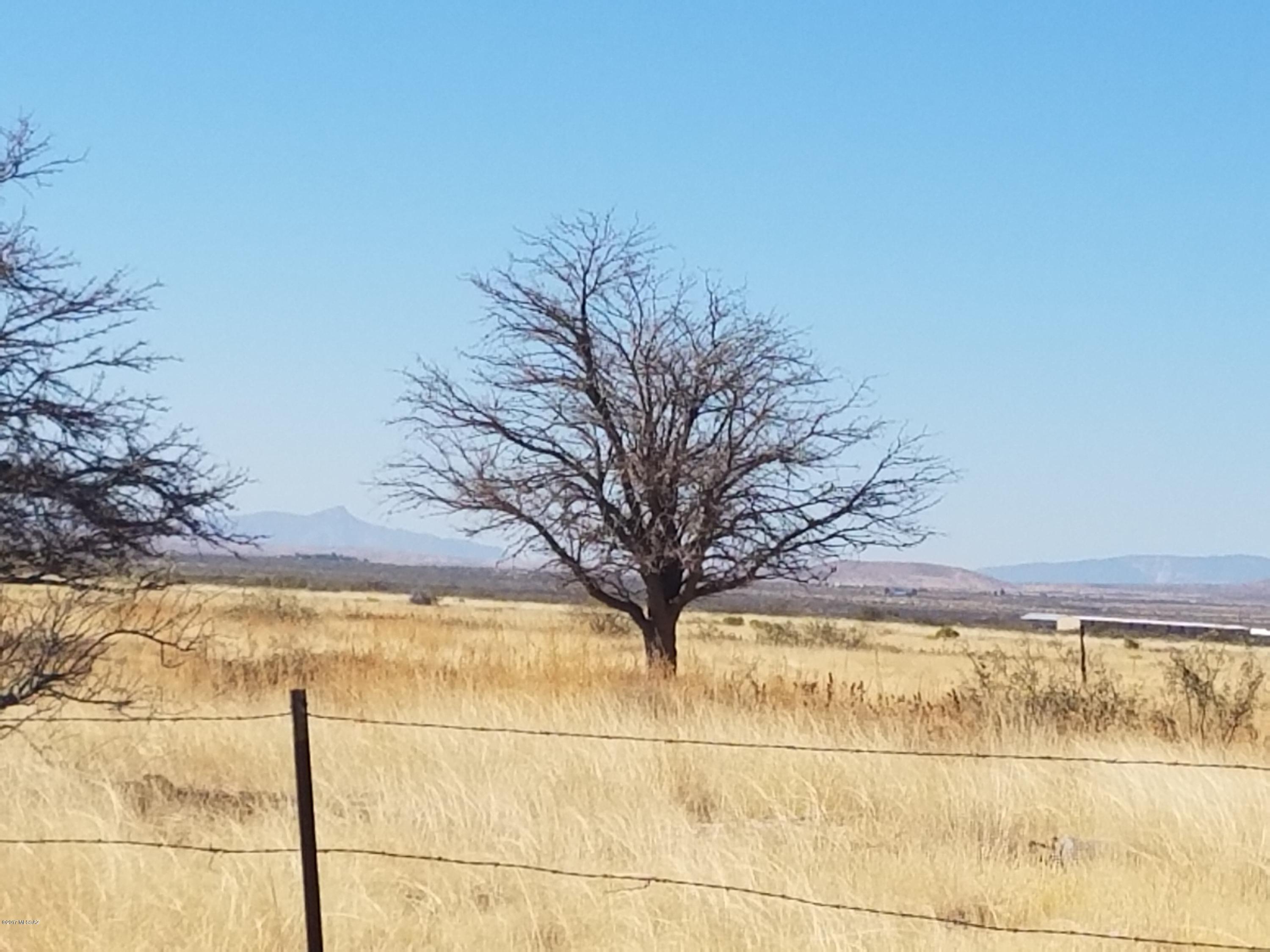 467 Taylor Road Willcox, AZ 85643 - Photo 3 of 4