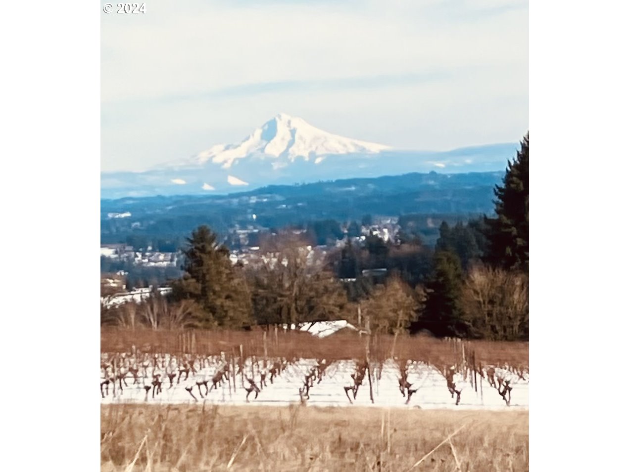 21735 Southwest Chapman Rd  