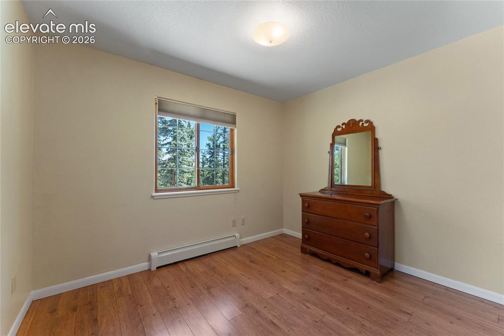 657 Spring Valley Drive Divide, CO 80814 - Photo 22 of 43 Room with wood-finish flooring, neutral wall paint, and a window with a natural wood frame