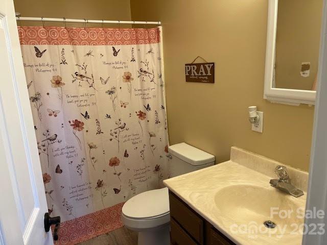 2059 Reece-Donahue Road Mount Croghan, SC 29727 - Photo 29 of 46 a bathroom with a sink and a toilet