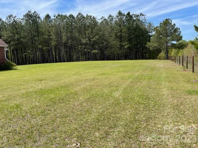 2059 Reece-Donahue Road Mount Croghan, SC 29727 - Photo 36 of 46 a view of a yard with trees in the background
