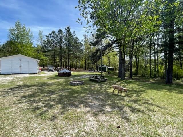 2059 Reece-Donahue Road Mount Croghan, SC 29727 - Photo 38 of 46 a view of a park with large trees