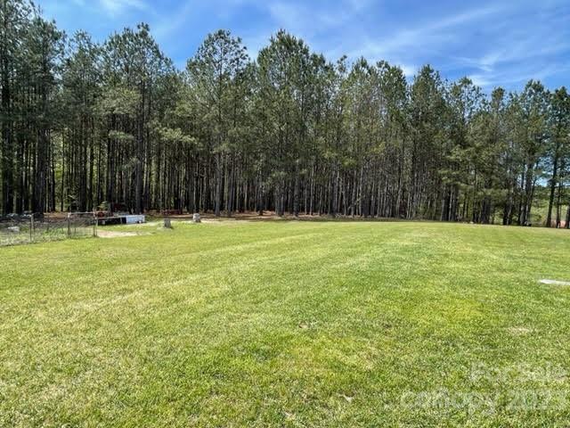 2059 Reece-Donahue Road Mount Croghan, SC 29727 - Photo 39 of 46 a view of outdoor space with a garden and trees