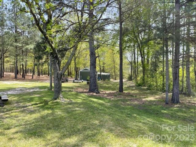 2059 Reece-Donahue Road Mount Croghan, SC 29727 - Photo 40 of 46 a view of outdoor space with trees all around