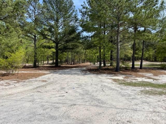 2059 Reece-Donahue Road Mount Croghan, SC 29727 - Photo 42 of 46 a view of outdoor space with deck and trees