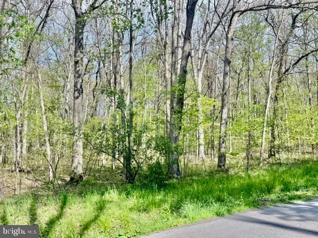 Turkey Neck Road Swanton, MD 21561 - Photo 3 of 23 a view of a garden