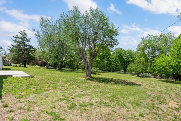 1503 5th Avenue West Springfield, TN 37172 - Photo 40 of 43 a view of a grassy field with trees