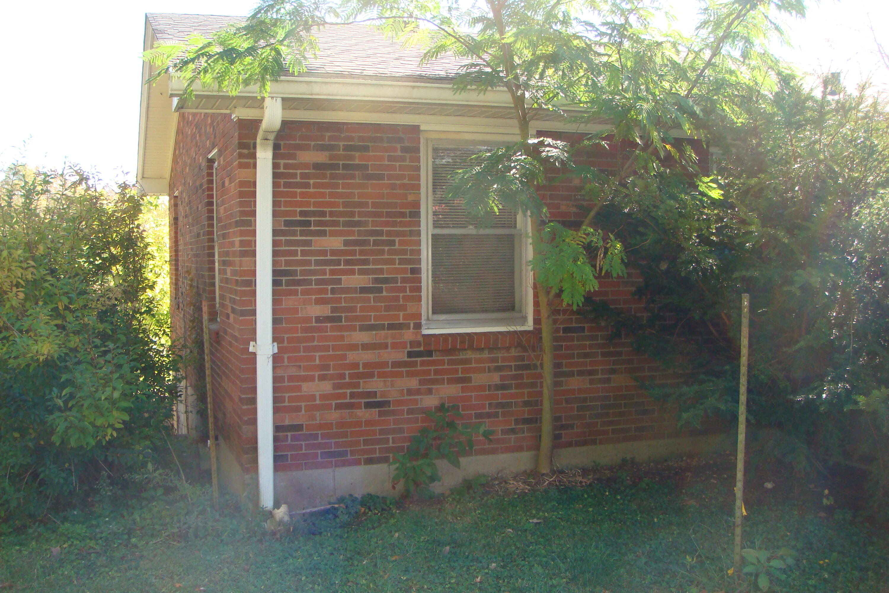 3912 Levee Road Mount Sterling, KY 40353 - Photo 9 of 31 DSC07706