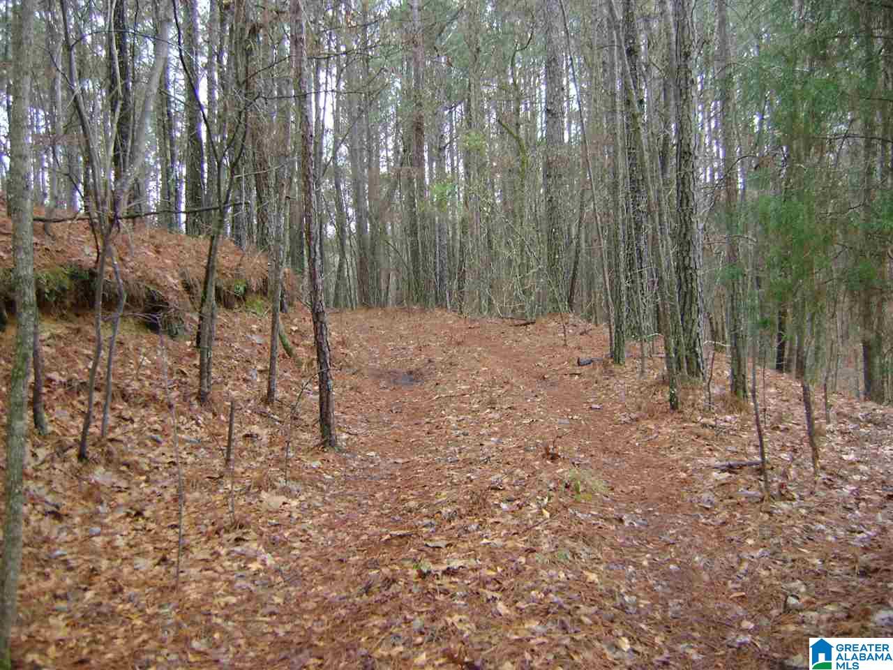 47586 Highway 25 Sterrett, AL 35147 - Photo 12 of 20