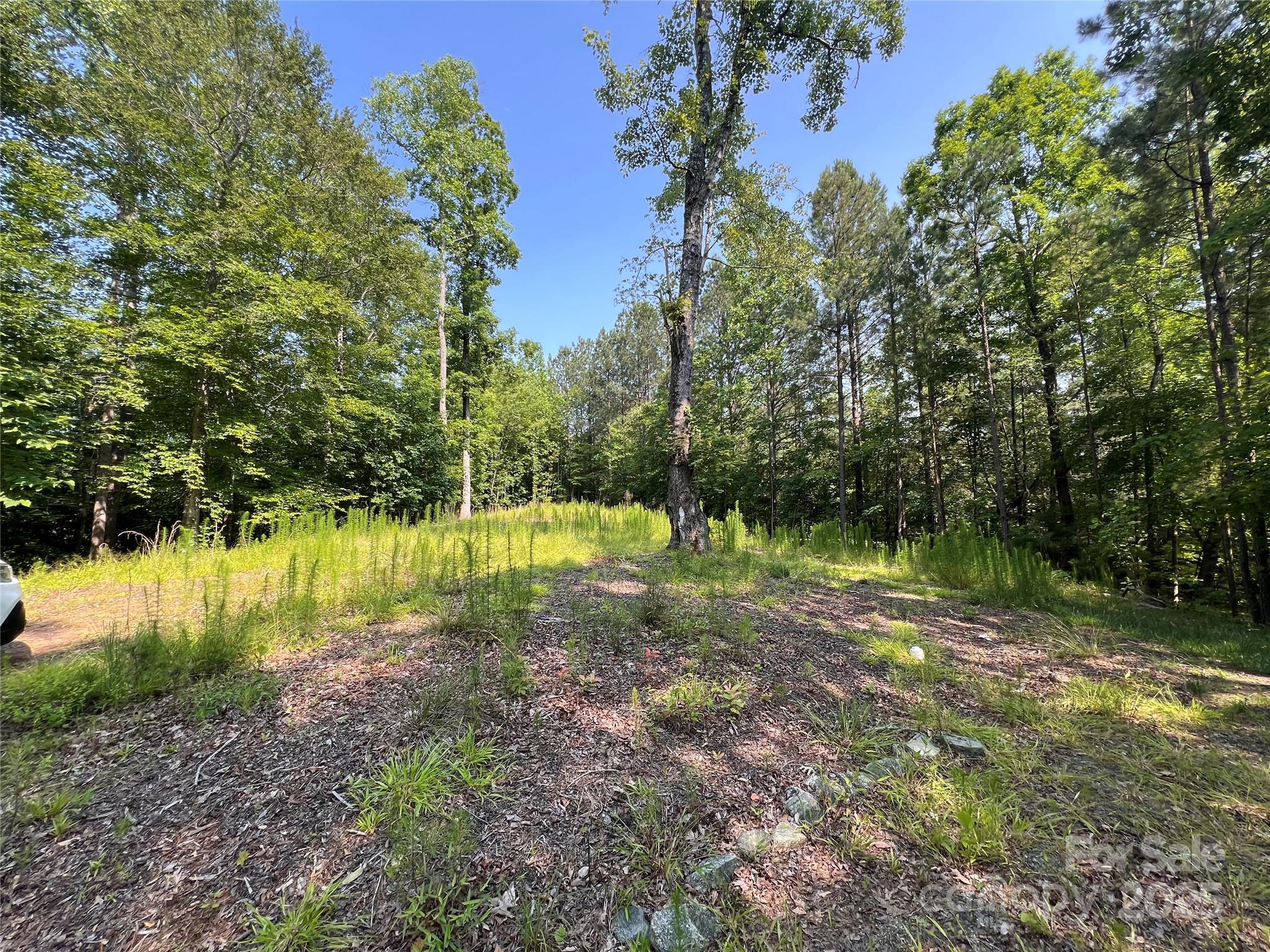 1015 Cross Ridge Drive Rutherfordton, NC 28139 - Photo 13 of 19 a view of a lake view