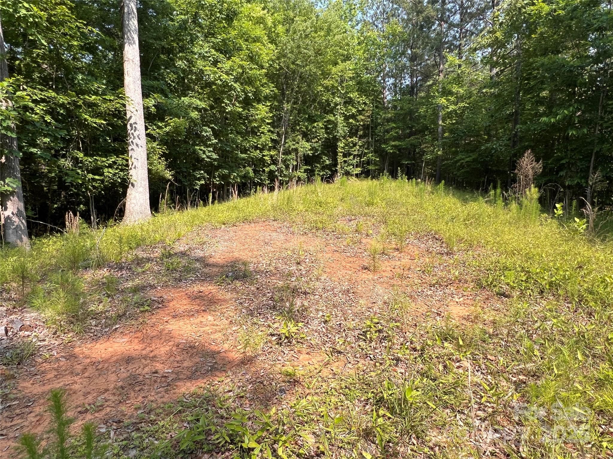 1015 Cross Ridge Drive Rutherfordton, NC 28139 - Photo 14 of 19 a view of backyard with green space