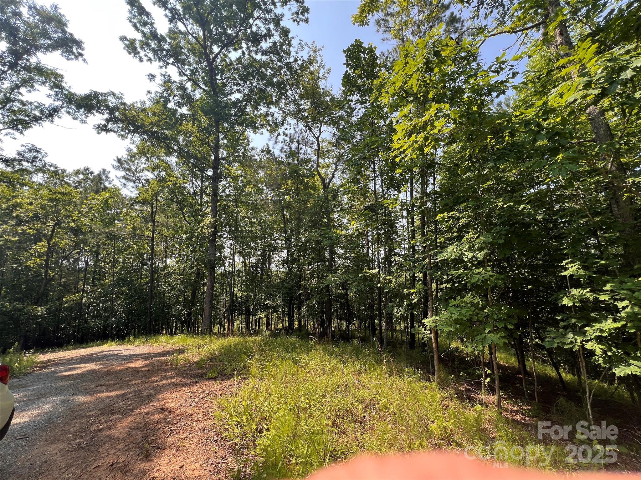 1015 Cross Ridge Drive Rutherfordton, NC 28139 - Photo 3 of 19 a view of a yard