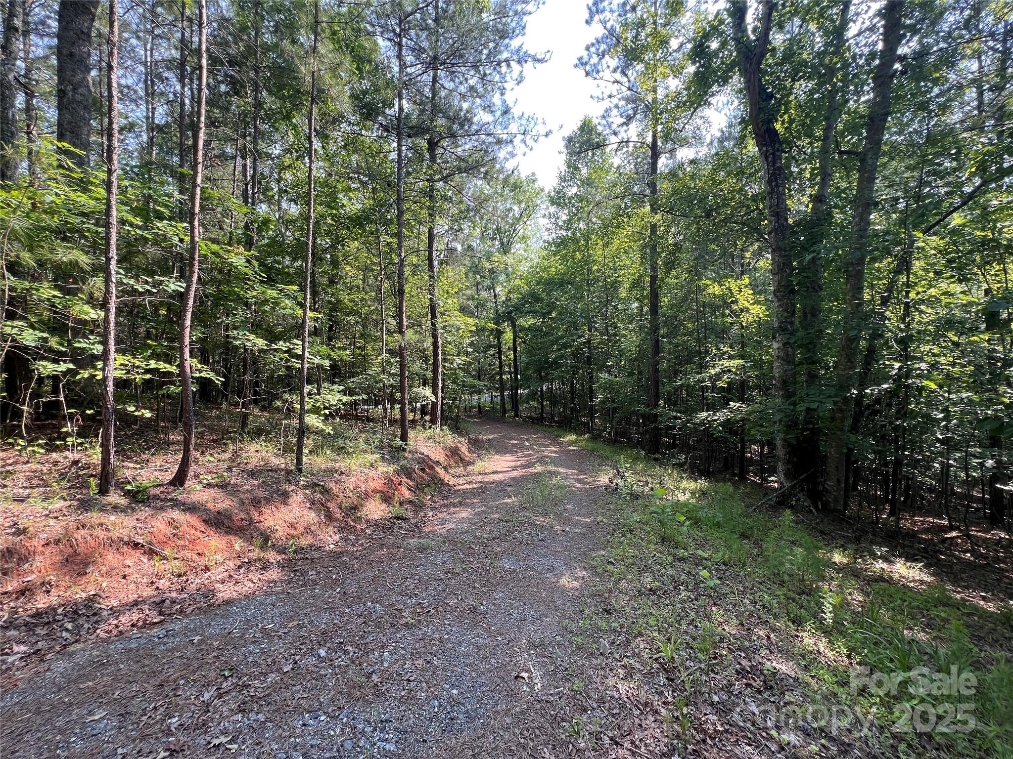 1015 Cross Ridge Drive Rutherfordton, NC 28139 - Photo 6 of 19 a view of a forest with trees in the background
