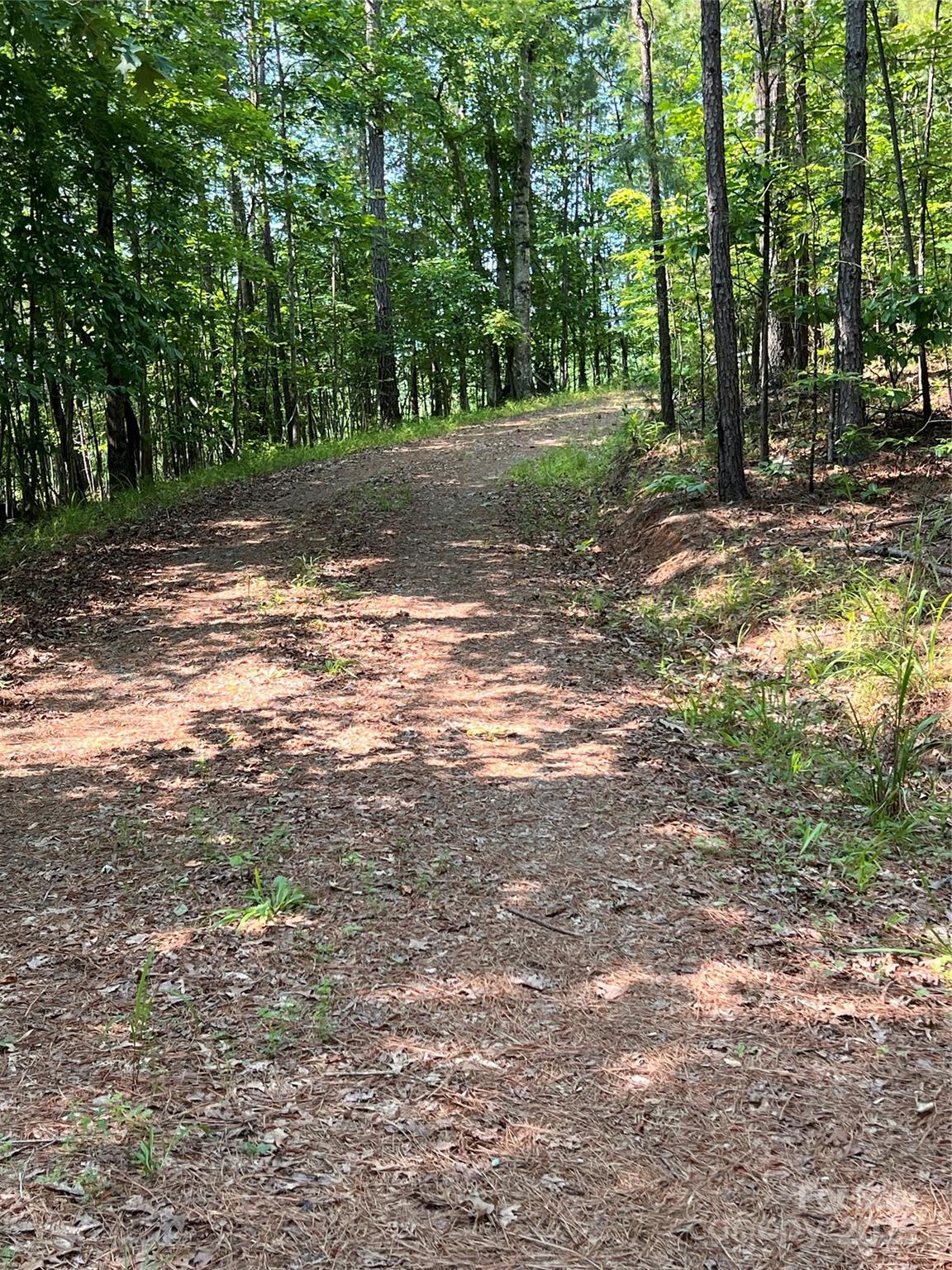 1015 Cross Ridge Drive Rutherfordton, NC 28139 - Photo 8 of 19 a view of a yard with trees