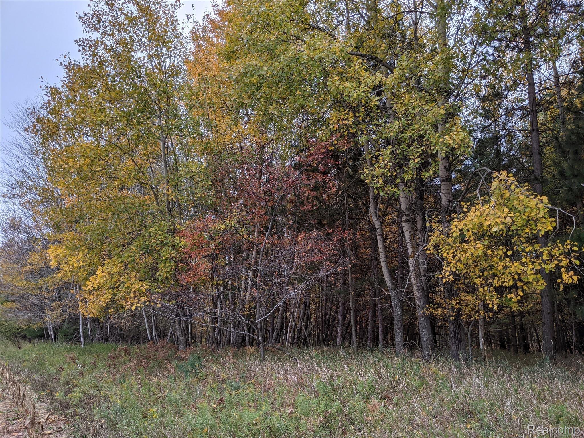 5259 Sheffer Road Prescott, MI 48756 - Photo 47 of 60 PXL_20201014_190844328.jpg