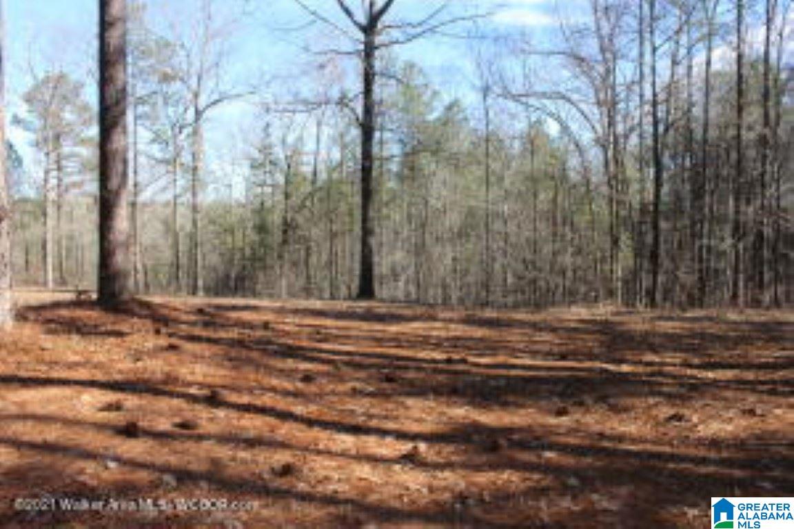 4848 Old Pineywoods Road Jasper, AL 35504 - Photo 1 of 1