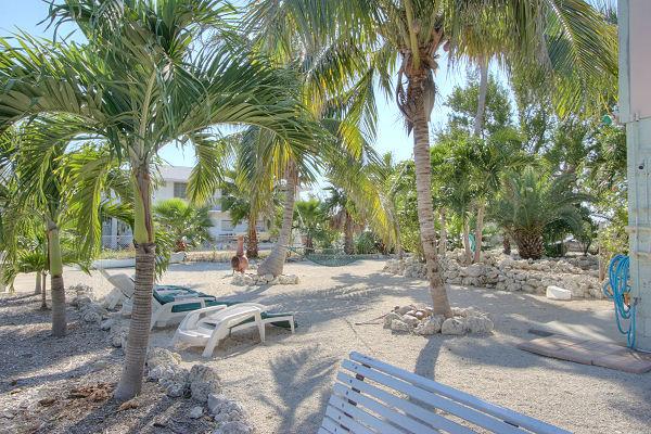 3839 Joyce Road Big Pine Key, FL 33043 - Photo 9 of 9 9. side yard and extra half lot