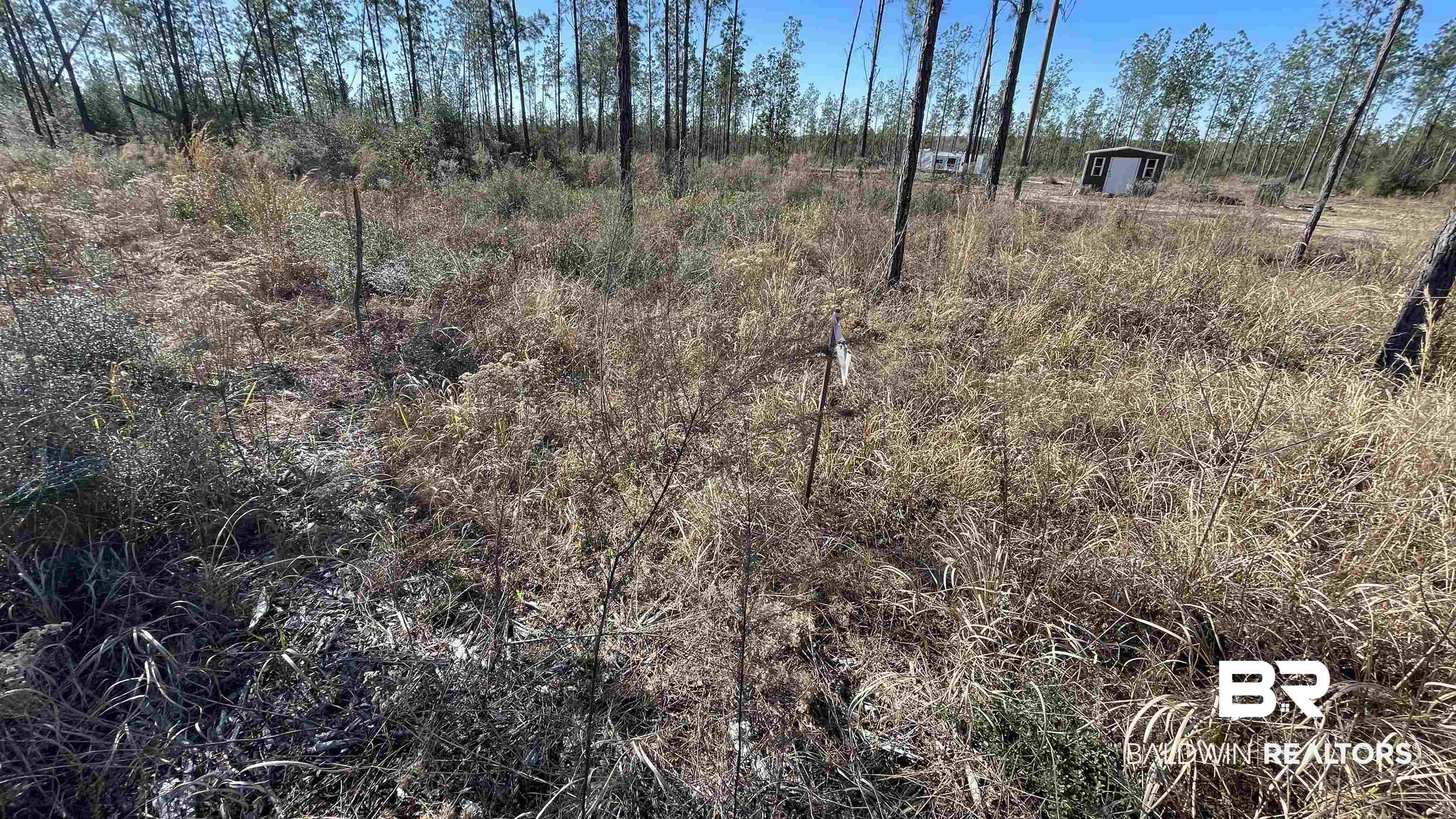 24664 Linholm Road Robertsdale, AL 36567 - Photo 5 of 7