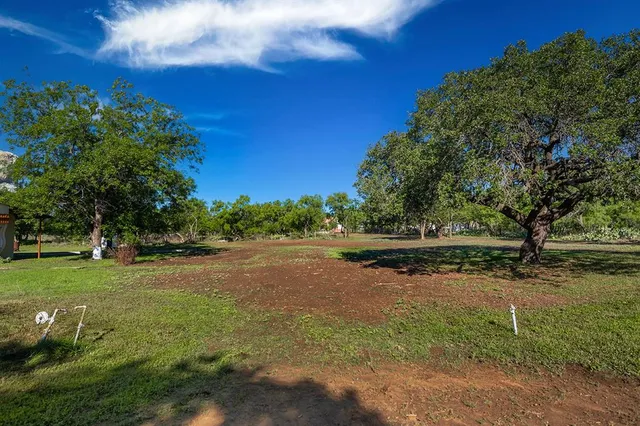 a view of dirt field with trees
