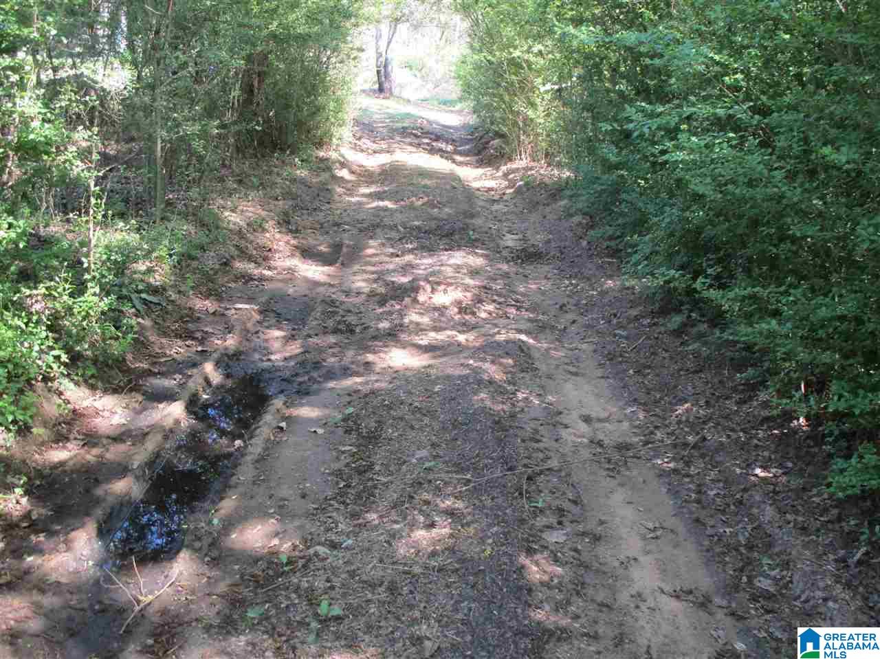 2553 Skyball Road Hayden, AL 35079 - Photo 27 of 33