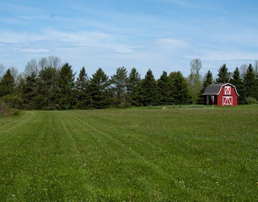 28 Fisher Road Holden, ME 04429 - Photo 43 of 43 Back Yard