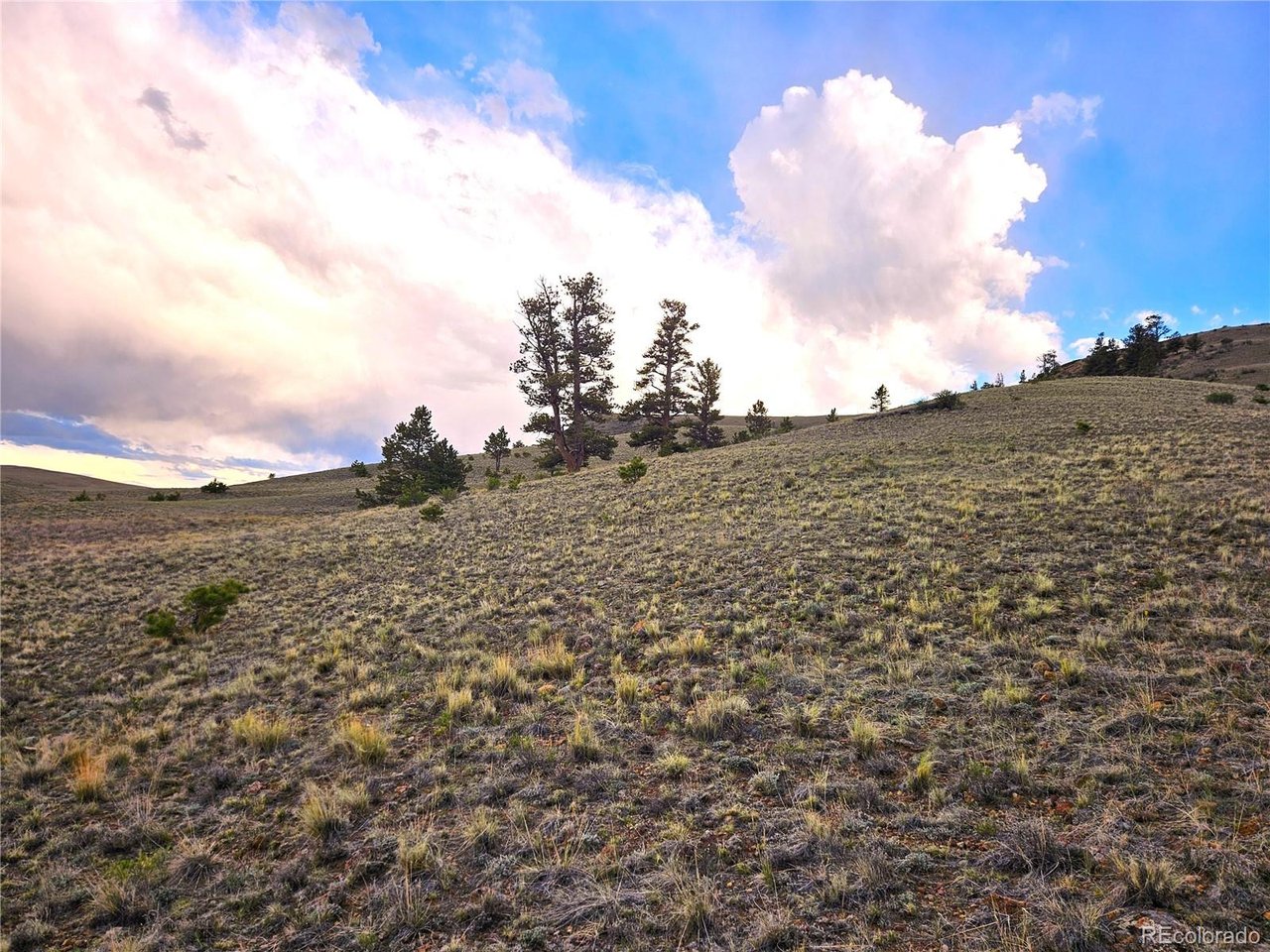 25427 Yuma Road Hartsel, CO 80449 - Photo 13 of 31