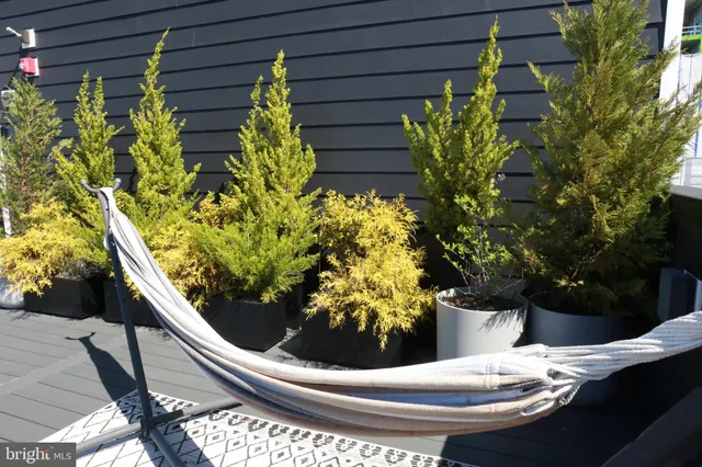 a view of a vase of flowers sitting on a table