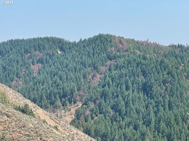 0 McNabb Creek Road Winston, OR 97496 - Photo 1 of 32 Gallery Image 1