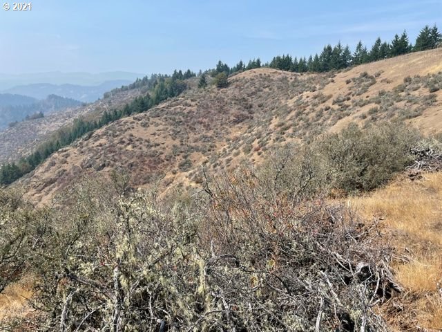 0 McNabb Creek Road Winston, OR 97496 - Photo 14 of 32 Gallery Image 14