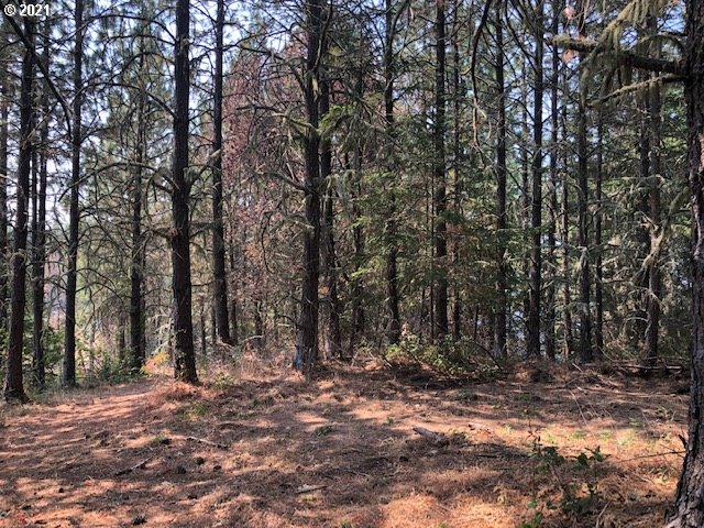 0 McNabb Creek Road Winston, OR 97496 - Photo 7 of 32 Gallery Image 7