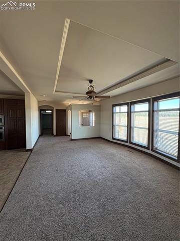 1925 Doe Valley Road Guffey, CO 80820 - Photo 8 of 30 Unfurnished living room featuring a raised ceiling, carpet floors, and ceiling fan
